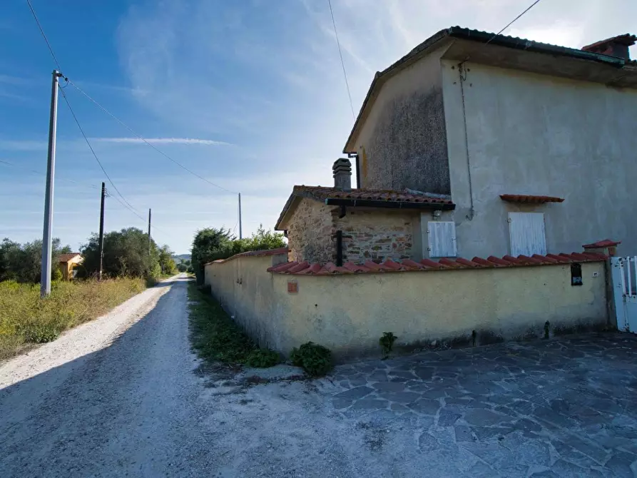 Immagine 51 di Casa colonica in vendita  a Suvereto