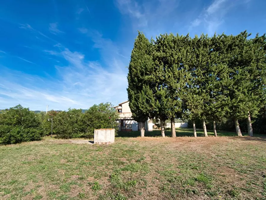 Immagine 47 di Casa colonica in vendita  a Suvereto