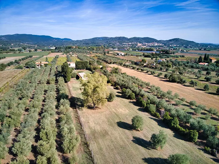 Immagine 6 di Casa colonica in vendita  a Suvereto