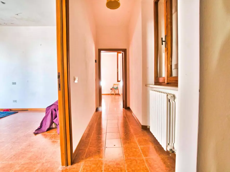 Immagine 21 di Casa colonica in vendita  a Suvereto