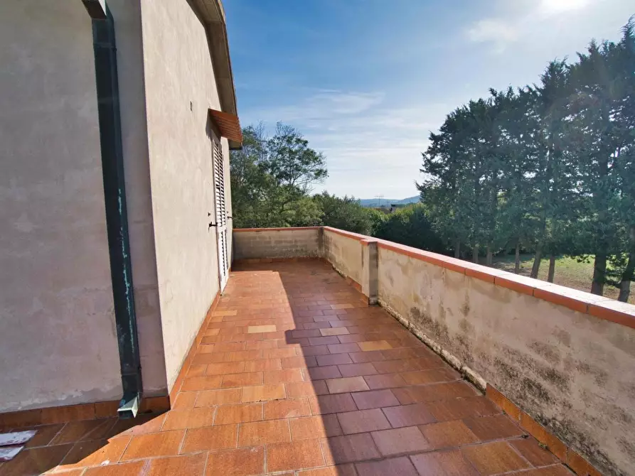 Immagine 33 di Casa colonica in vendita  a Suvereto