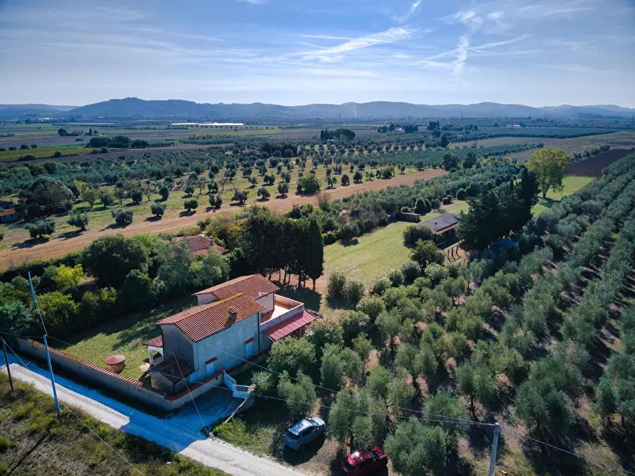 Immagine 8 di Casa colonica in vendita  a Suvereto