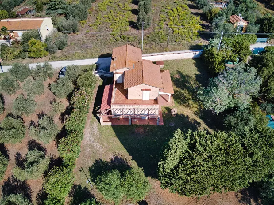 Immagine 2 di Casa colonica in vendita  a Suvereto