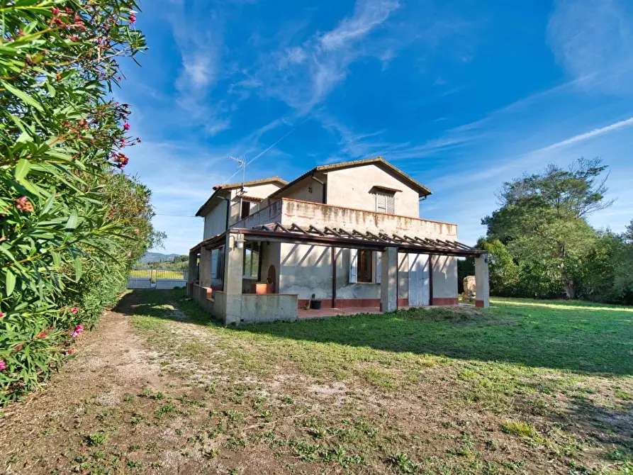 Immagine 48 di Casa colonica in vendita  a Suvereto