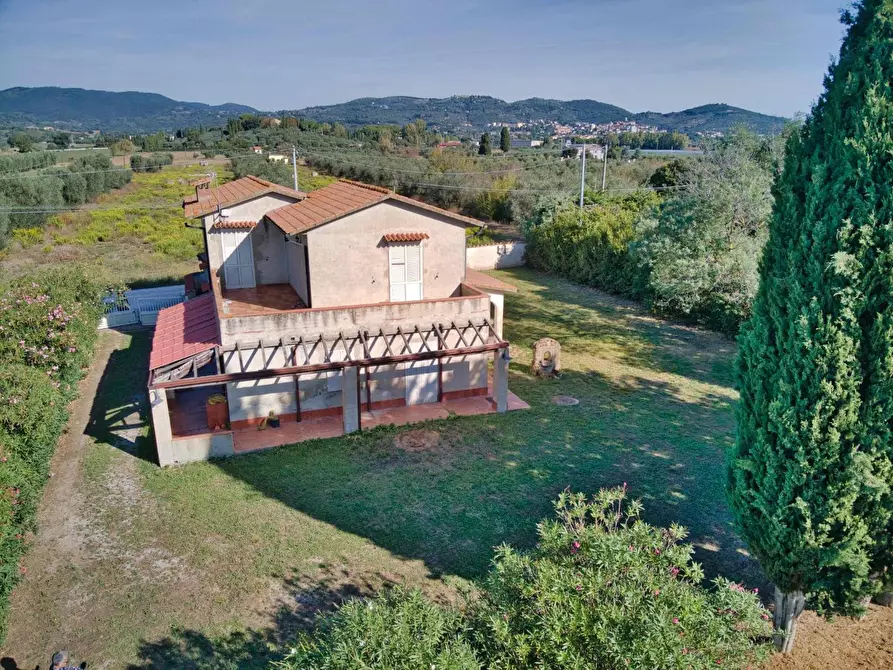 Immagine 3 di Casa colonica in vendita  a Suvereto