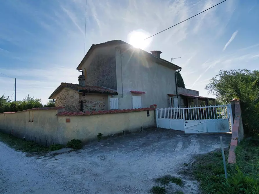 Immagine 50 di Casa colonica in vendita  a Suvereto