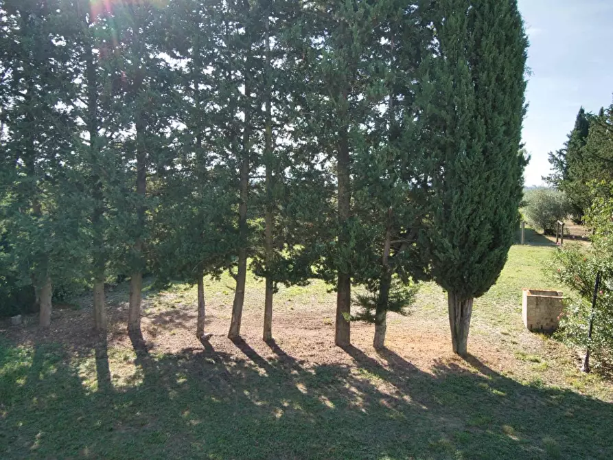 Immagine 39 di Casa colonica in vendita  a Suvereto