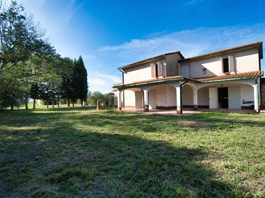 Immagine 43 di Casa colonica in vendita  a Suvereto