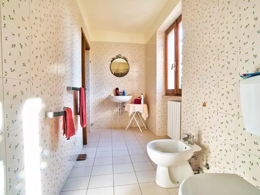 Immagine 19 di Casa colonica in vendita  a Suvereto