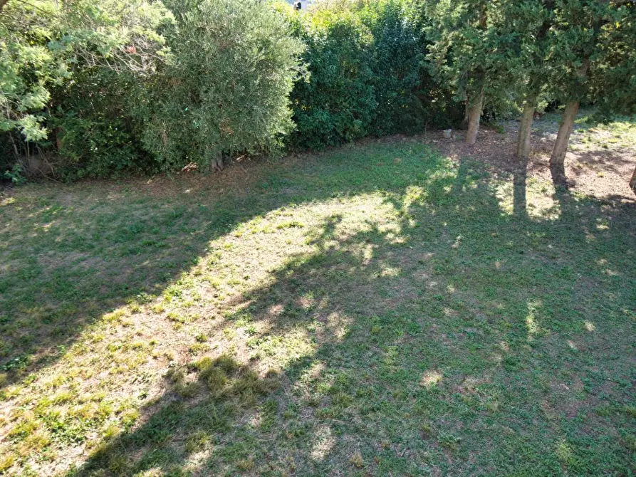 Immagine 38 di Casa colonica in vendita  a Suvereto