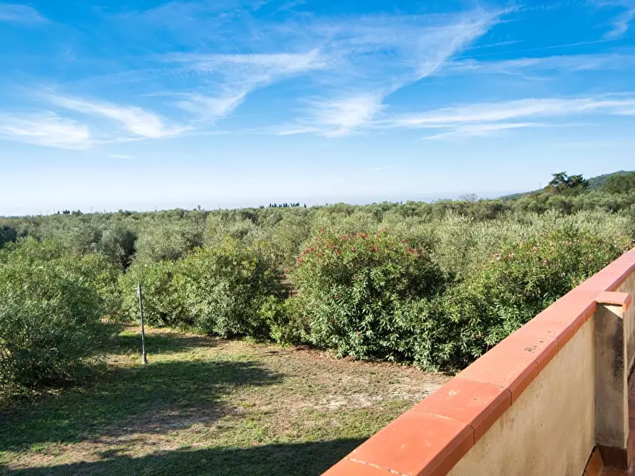 Immagine 41 di Casa colonica in vendita  a Suvereto