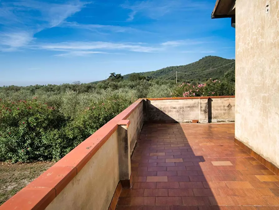 Immagine 40 di Casa colonica in vendita  a Suvereto