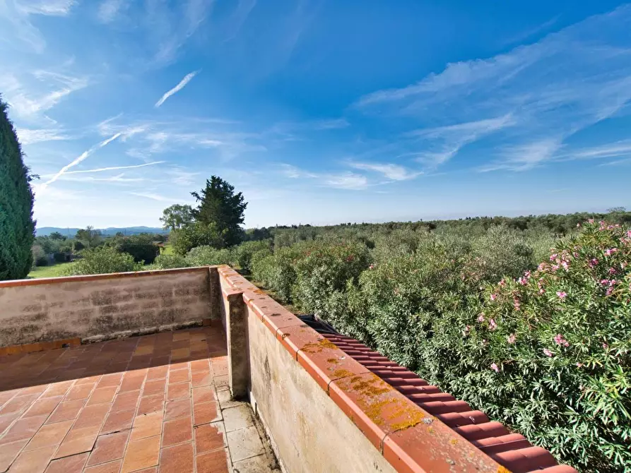Immagine 32 di Casa colonica in vendita  a Suvereto