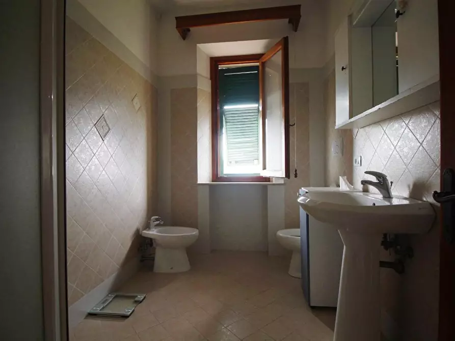 Immagine 12 di Casa colonica in vendita  a Vinci