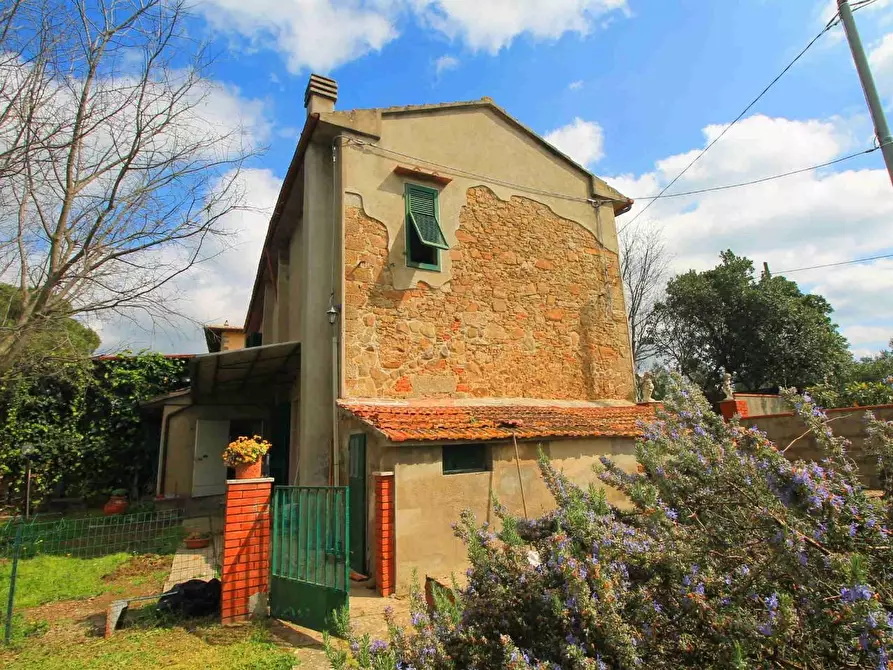 Immagine 3 di Casa colonica in vendita  a Vinci