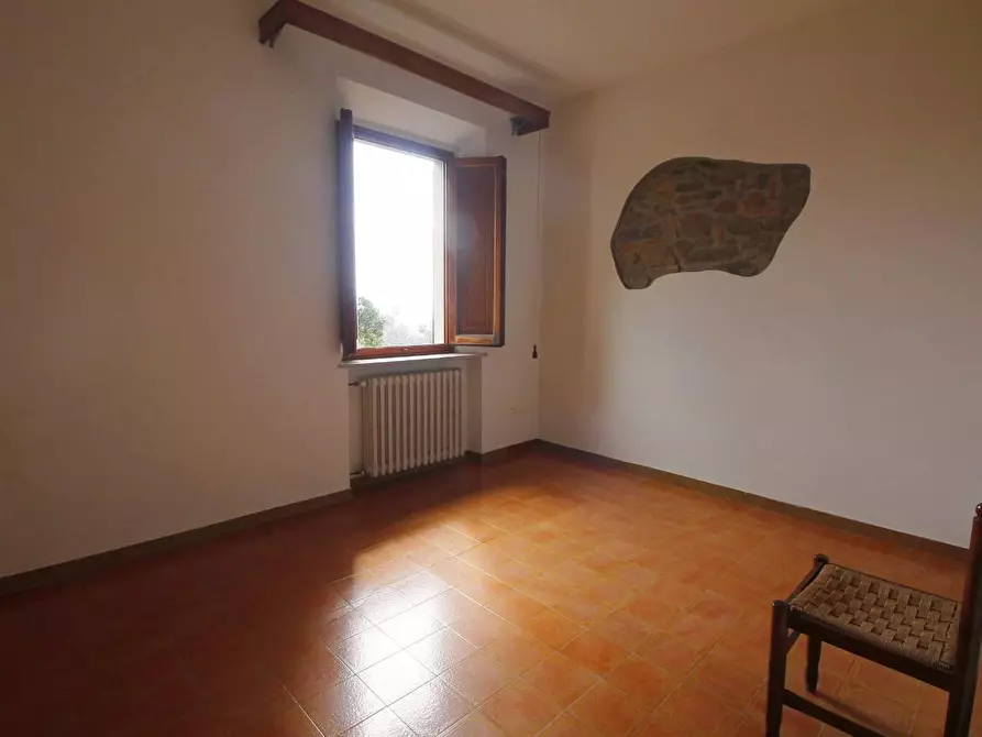 Immagine 11 di Casa colonica in vendita  a Vinci