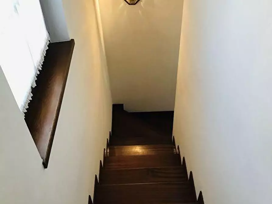 Immagine 14 di Villa in affitto  a Forte Dei Marmi