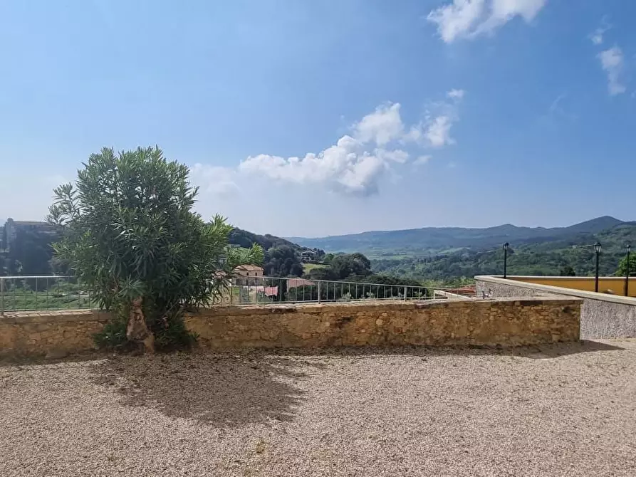 Immagine 3 di Appartamento in vendita  a Rosignano Marittimo