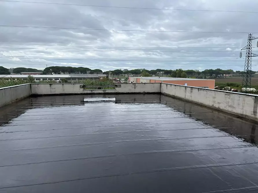 Immagine 7 di Magazzino in vendita  a Calci