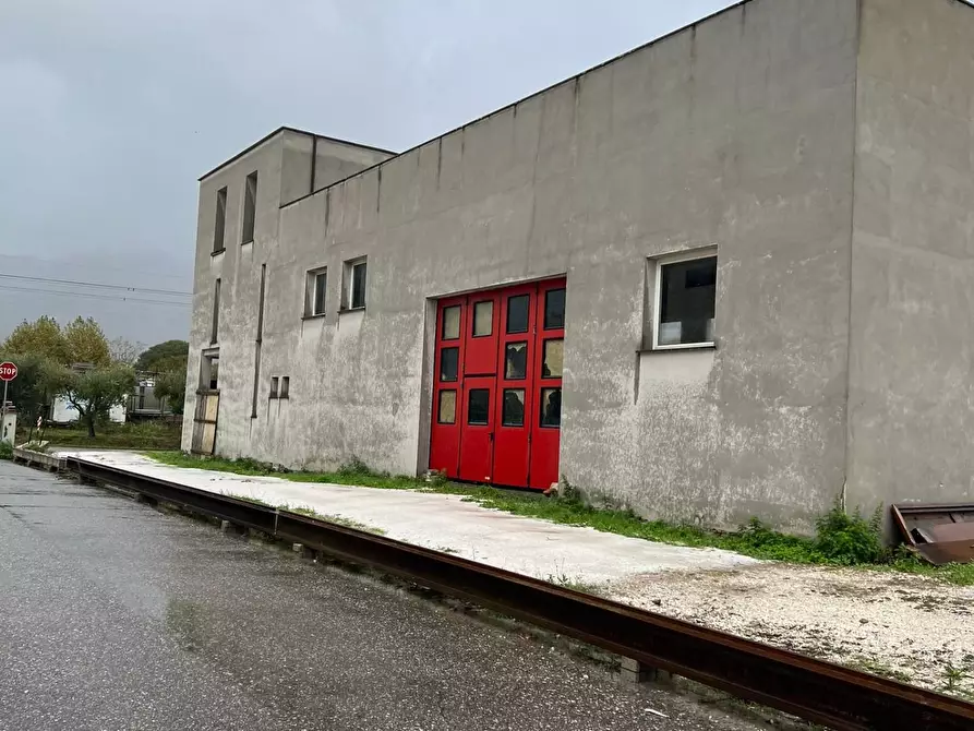 Immagine 4 di Magazzino in vendita  a Calci