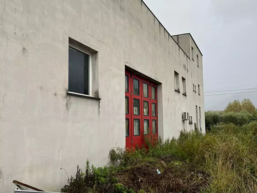 Immagine 3 di Magazzino in vendita  a Calci