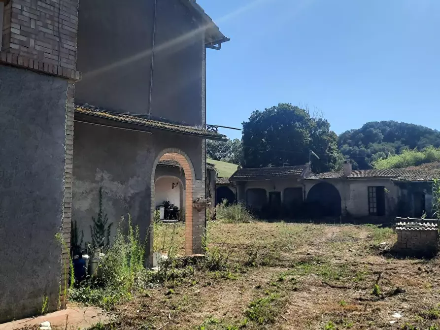 Immagine 14 di Villa in vendita  a Casciana Terme Lari