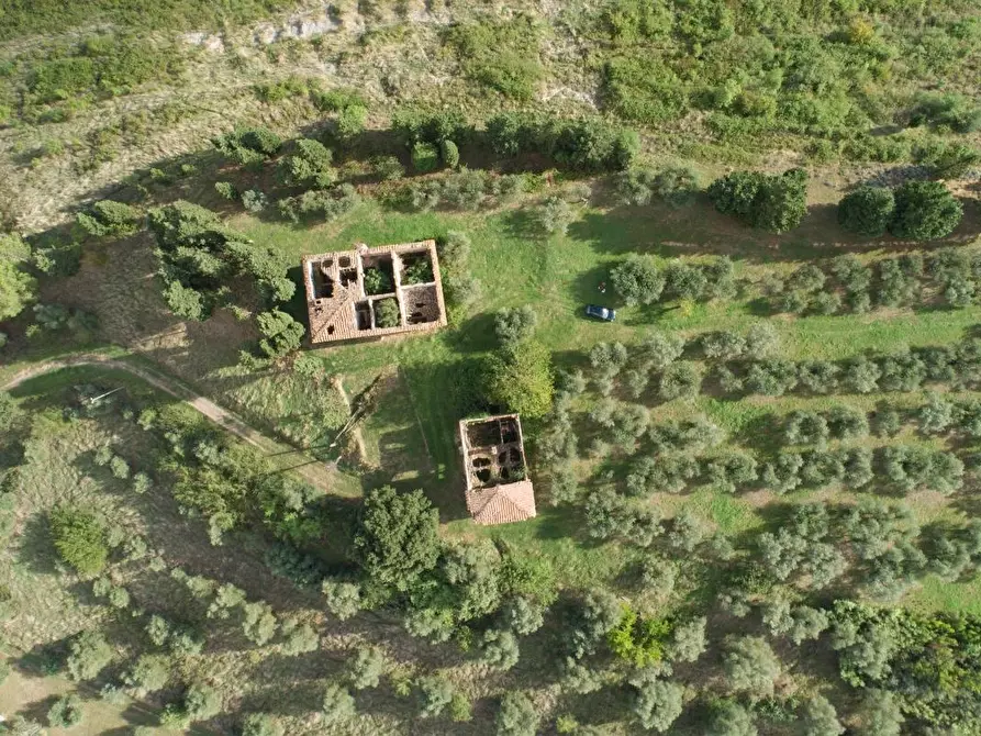 Immagine 2 di Rustico / casale in vendita  a Castelfiorentino