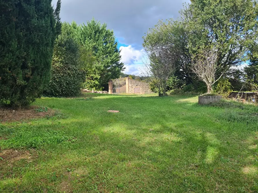 Immagine 57 di Casa colonica in vendita  a Monteriggioni