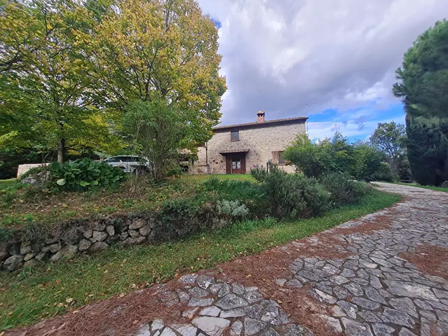 Immagine 53 di Casa colonica in vendita  a Monteriggioni