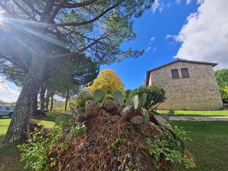 Immagine 58 di Casa colonica in vendita  a Monteriggioni