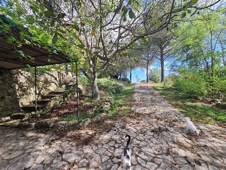 Immagine 50 di Casa colonica in vendita  a Monteriggioni