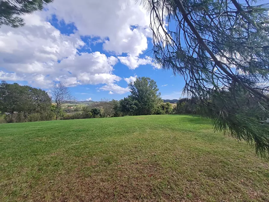 Immagine 52 di Casa colonica in vendita  a Monteriggioni