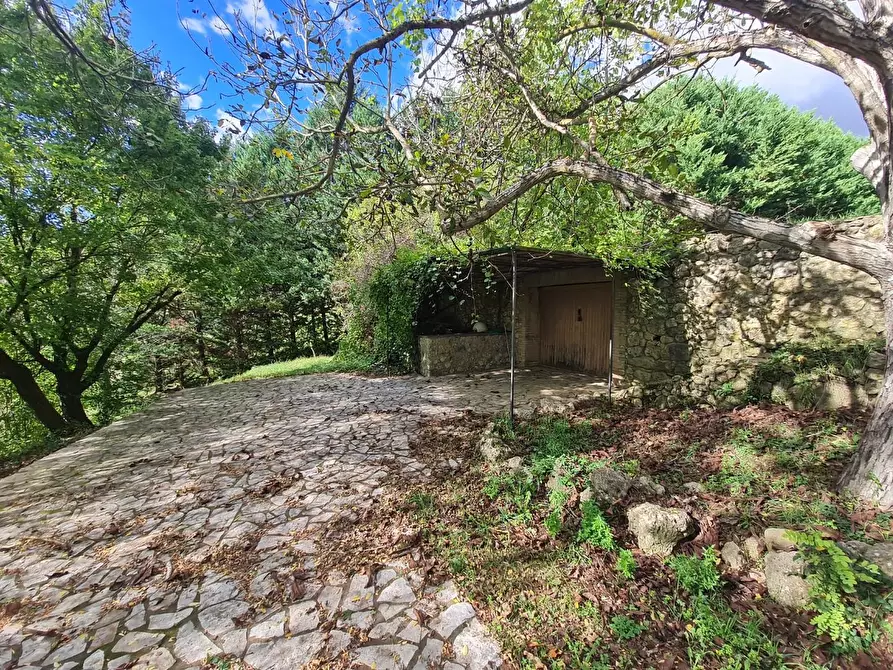 Immagine 51 di Casa colonica in vendita  a Monteriggioni