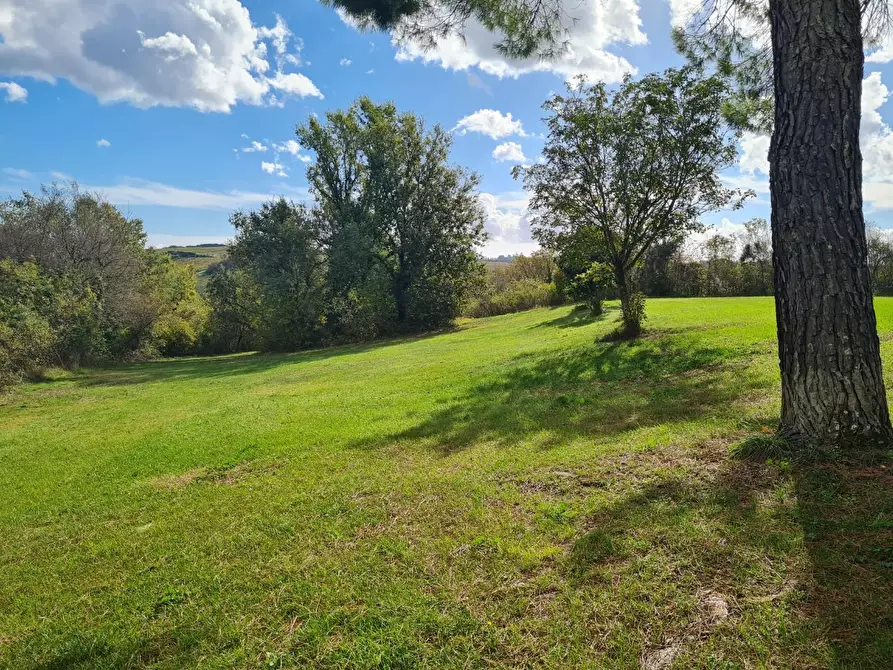 Immagine 56 di Casa colonica in vendita  a Monteriggioni