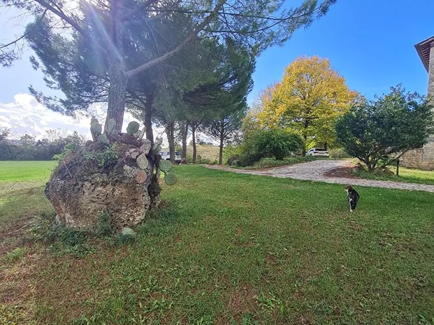 Immagine 62 di Casa colonica in vendita  a Monteriggioni