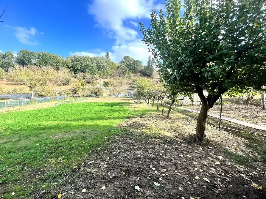 Immagine 20 di Villa in vendita  a Certaldo