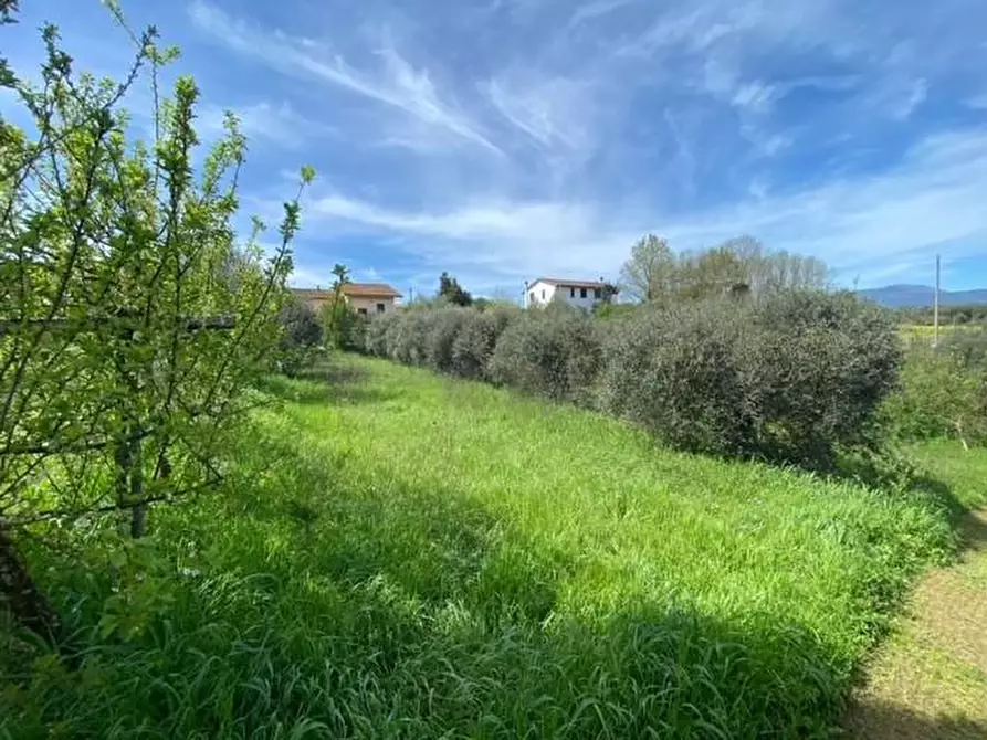 Immagine 4 di Casa bifamiliare in vendita  a Santa Maria A Monte