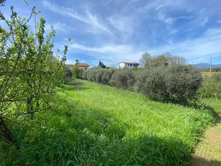 Immagine 3 di Casa bifamiliare in vendita  a Santa Maria A Monte