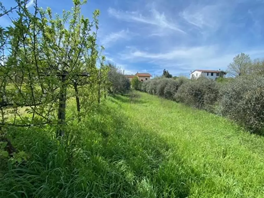 Immagine 2 di Casa bifamiliare in vendita  a Santa Maria A Monte