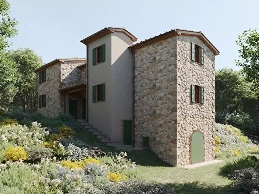 Immagine 4 di Casa colonica in vendita  a Riparbella