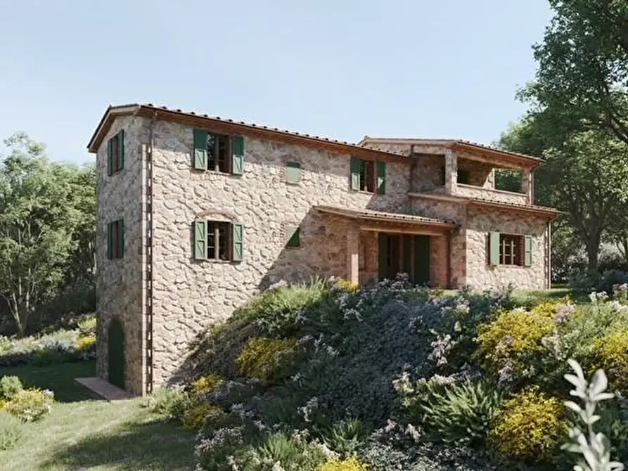 Immagine 2 di Casa colonica in vendita  a Riparbella