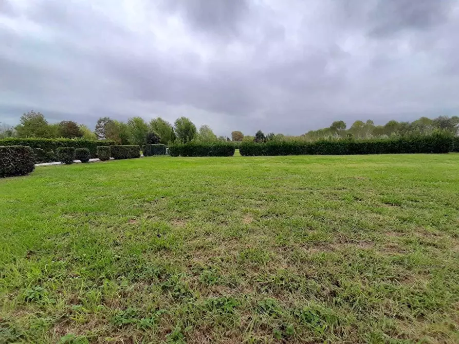 Immagine 6 di Casa bifamiliare in vendita  a San Giuliano Terme