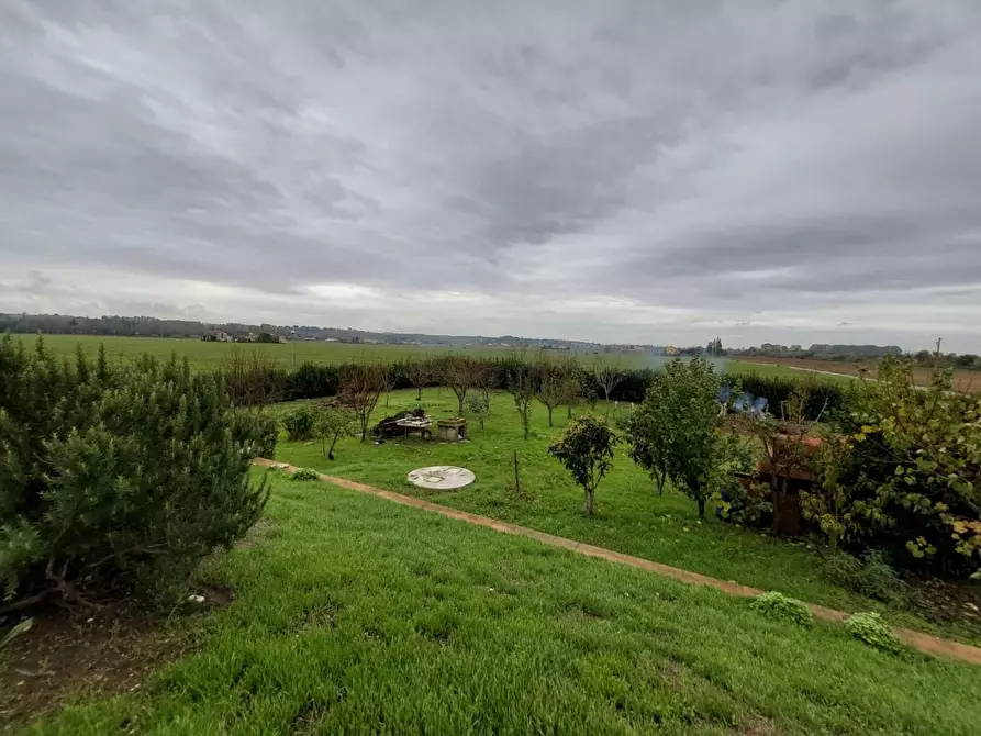 Immagine 11 di Villa in vendita  a Montopoli In Val D'arno