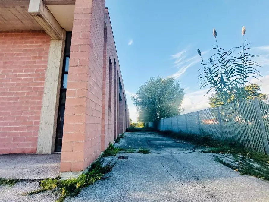 Immagine 37 di Capannone industriale in vendita  a Camaiore