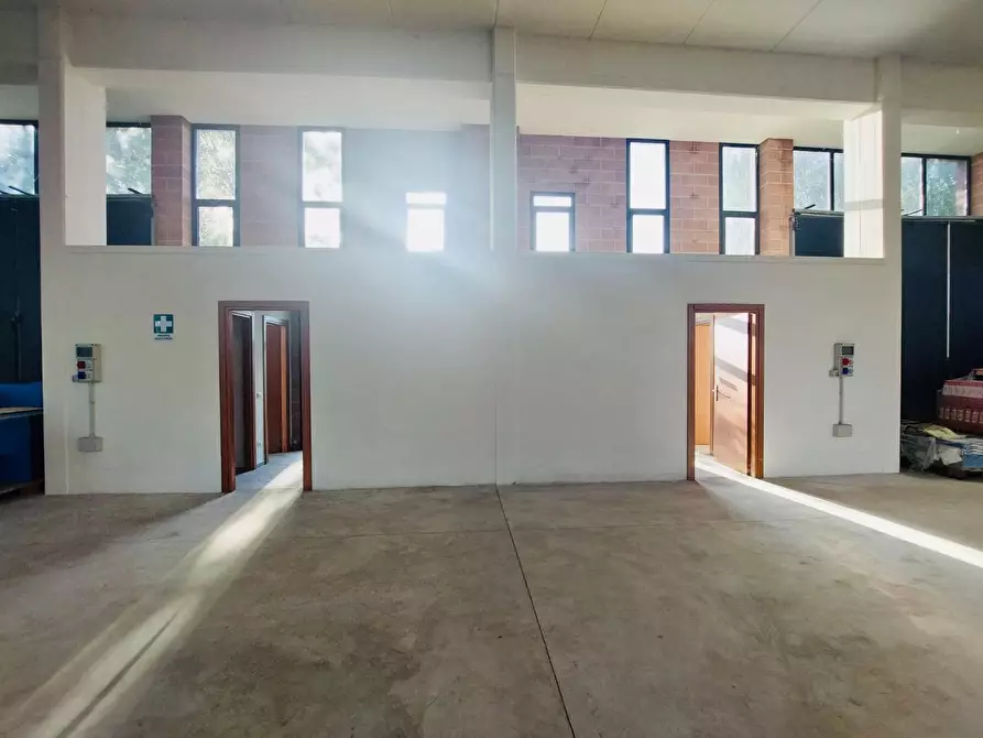 Immagine 23 di Capannone industriale in vendita  a Camaiore