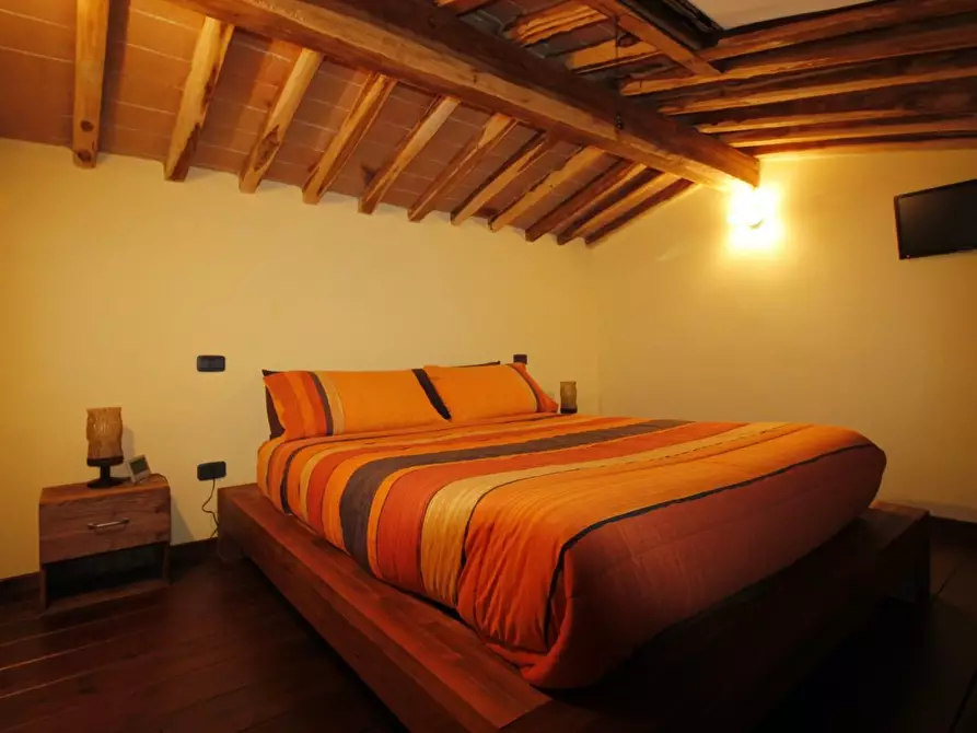 Immagine 11 di Appartamento in vendita  a Casole D'elsa