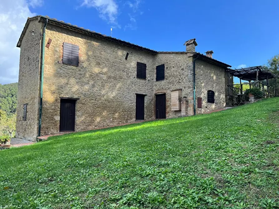 Immagine 1 di Casa colonica in vendita  a Pomarance