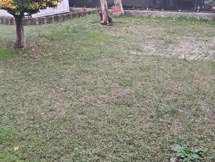 Immagine 15 di Casa indipendente in vendita  a Massa