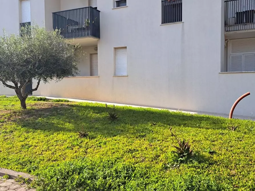 Immagine 21 di Appartamento in vendita  a Rosignano Marittimo