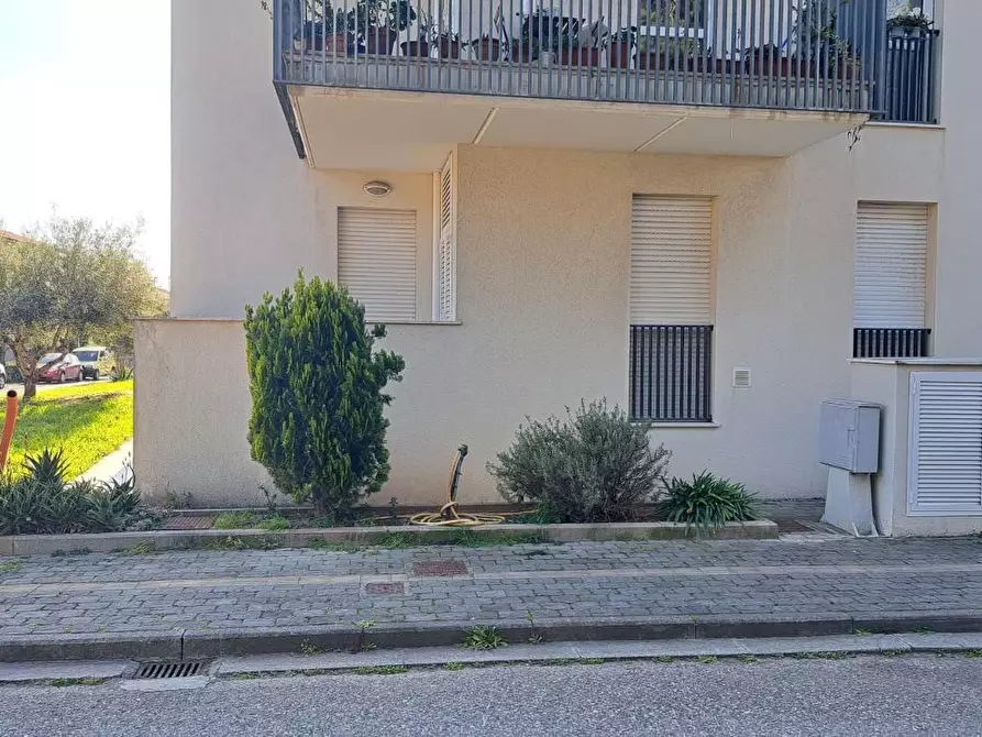 Immagine 19 di Appartamento in vendita  a Rosignano Marittimo